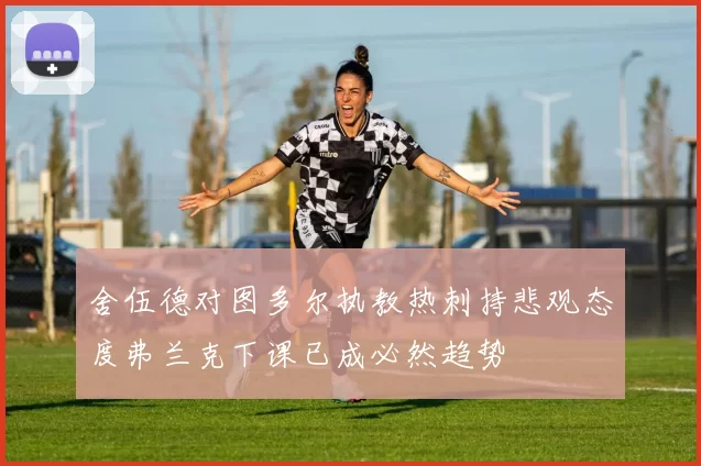 舍伍德对图多尔执教热刺持悲观态度弗兰克下课已成必然趋势